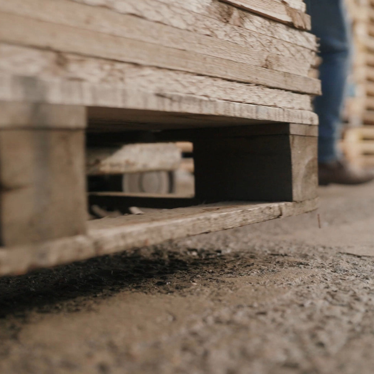 Staubbinder für Beton - 5L